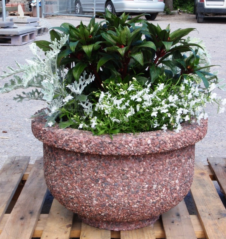 Kuva tuotteesta Pihamaljakko KB1031, Kuva 1