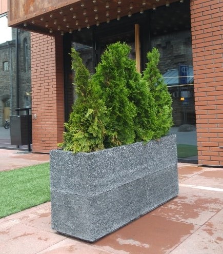 Kuva tuotteesta Piharuukku kantikas KB10171, Kuva 1