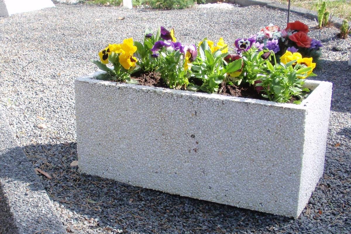 Kuva tuotteesta Piharuukku kantikas KB1019, Kuva 1