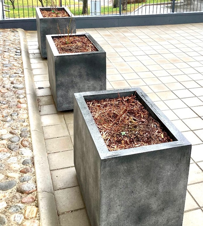 Kuva tuotteesta Piharuukku kantikas jaloilla KB1061, Kuva 1