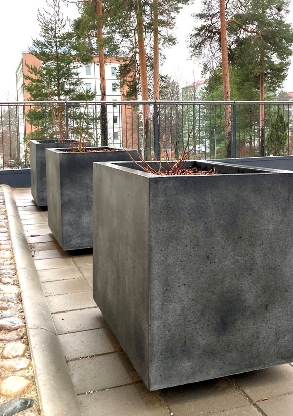Kuva tuotteesta Piharuukku kantikas jaloilla KB1061, Kuva 2