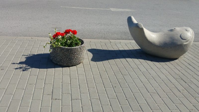 Kuva tuotteesta Piharuukku pyöreä KB107, Kuva 1