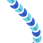 Kuva tuotteesta Käärme Numeroilla 2D-P07, Kuva 1