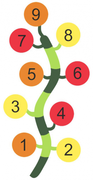 Kuva tuotteesta Kasvi Numeroilla 2D-P03, Kuva 1