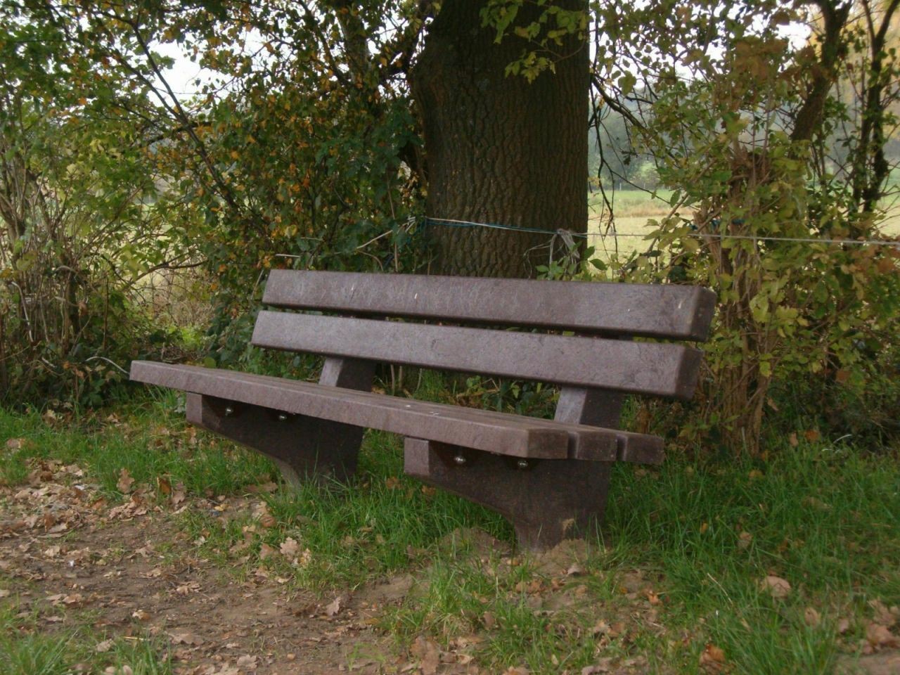 Kuva tuotteesta Somerset penkki, Ekologinen HBSB12200, Kuva 3